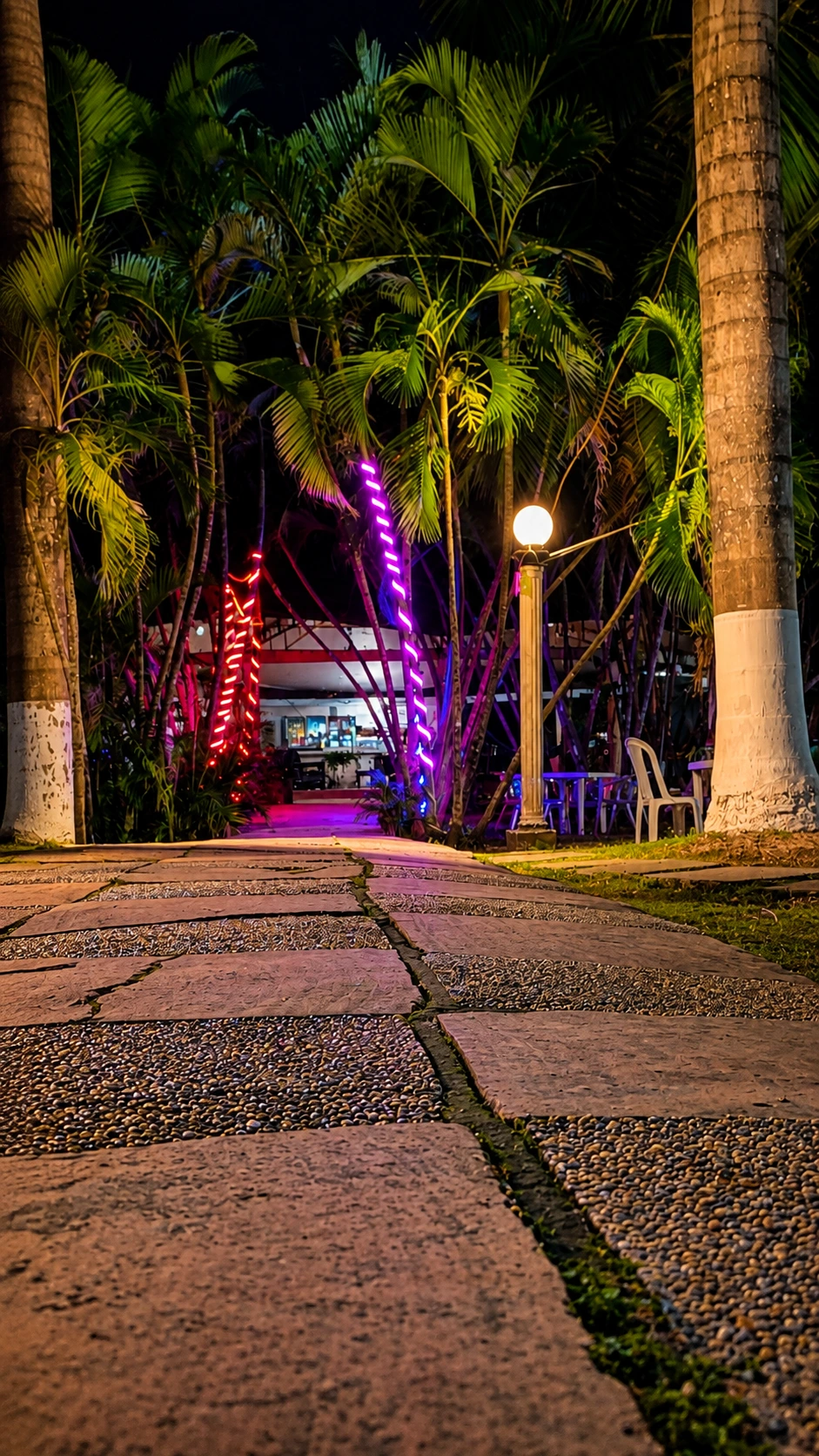 Sendero iluminado con palmeras y luces decorativas